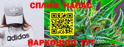 прущие грибы Свободный