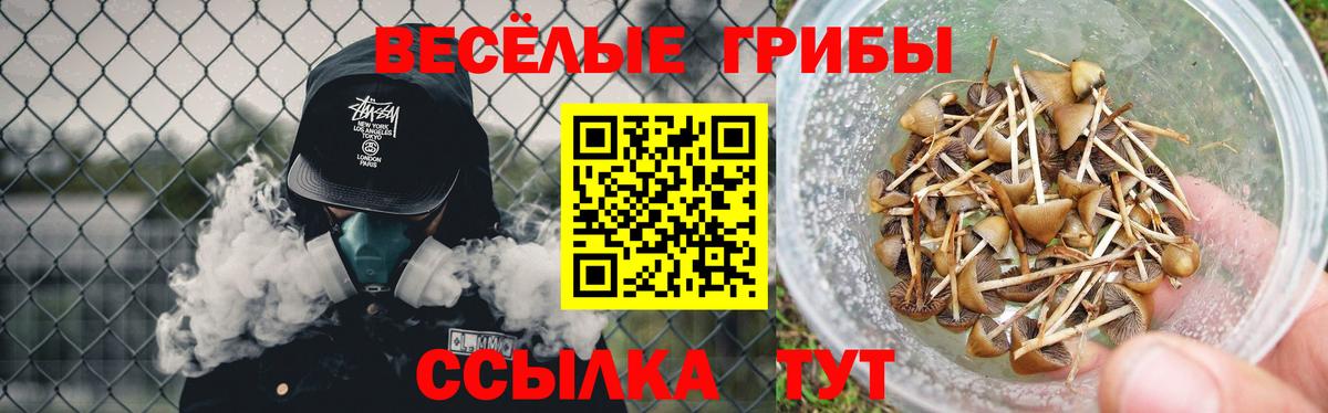 Галлюциногенные грибы мицелий Омск