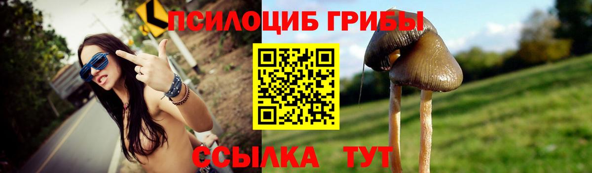 Псилоцибиновые грибы мицелий  Псилоцибиновые грибы Magic Shrooms  Омск  Вход с VPN 